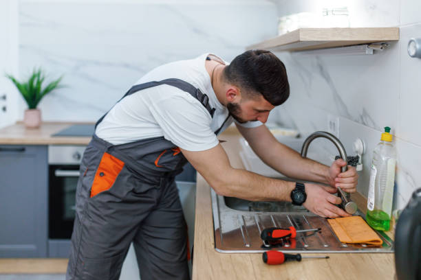 Best Toilet Repair Services  in Petersburg, IL